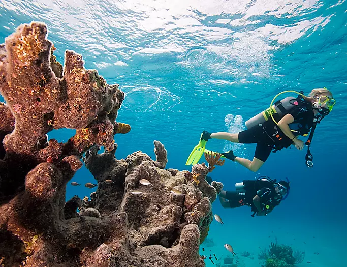 Scuba certification