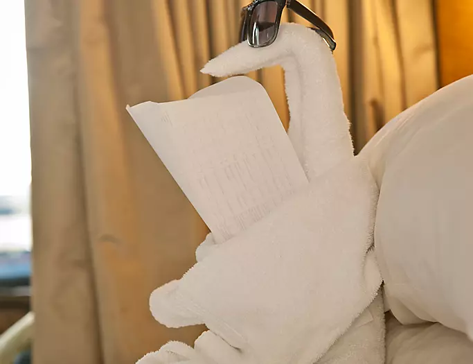 Folding artistry
