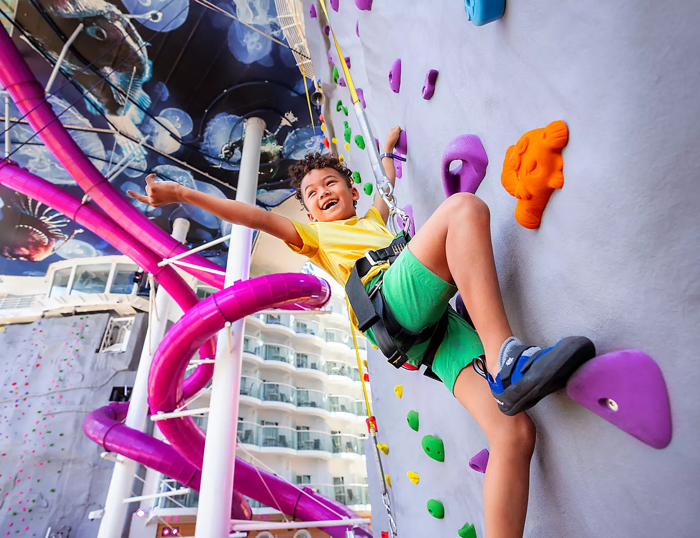 Rock climbing wall